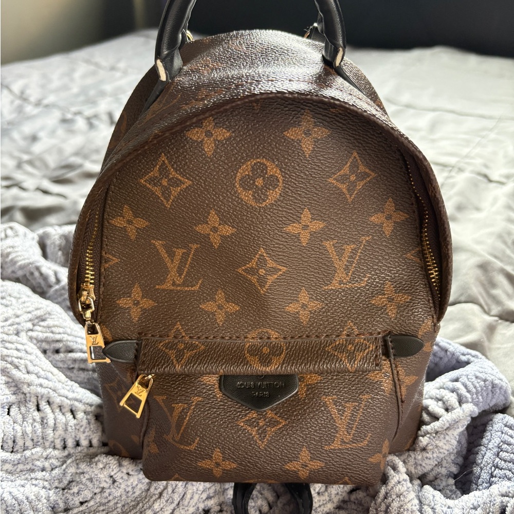 Louis Vuitton Palm Springs Mini Backpack